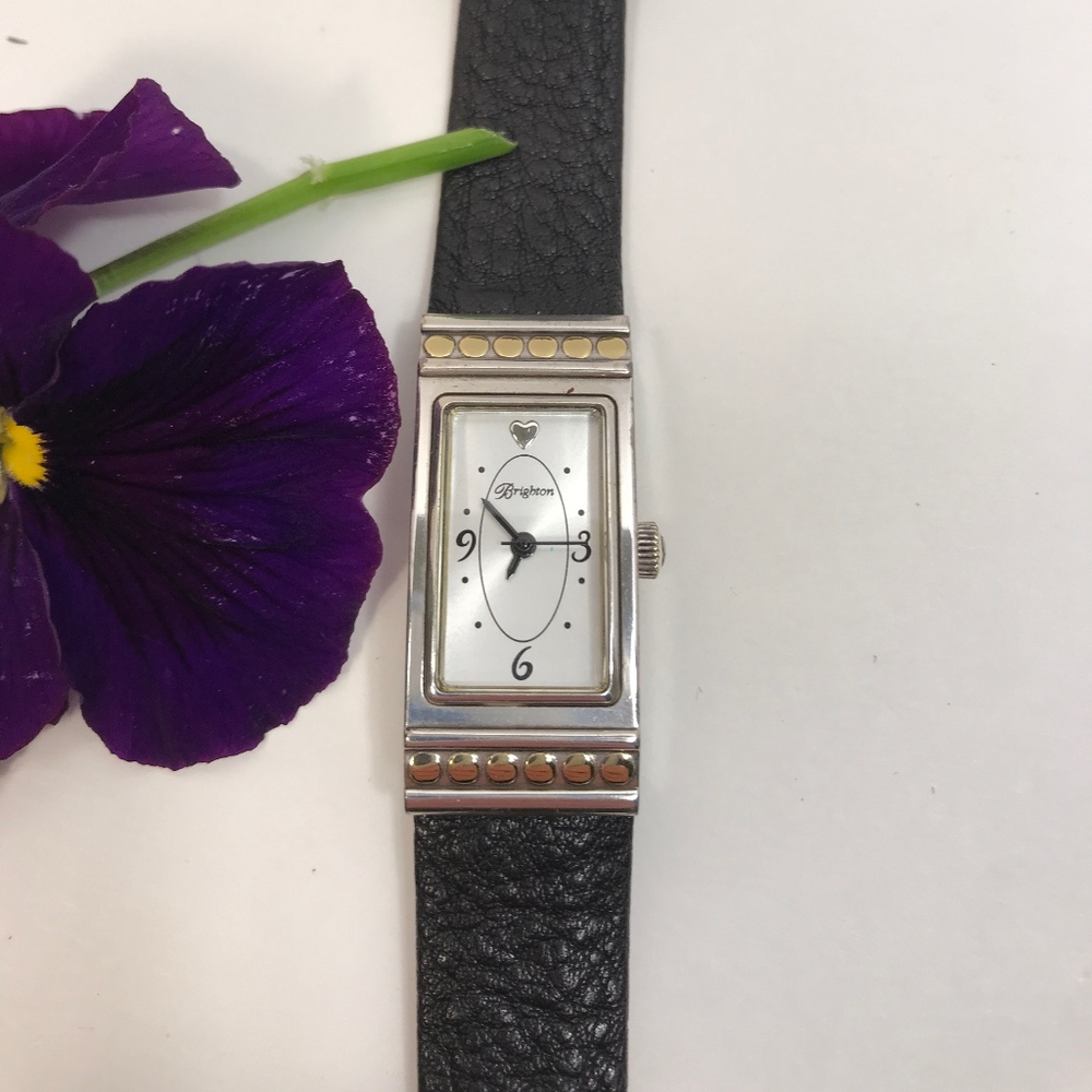 Brighton Watch